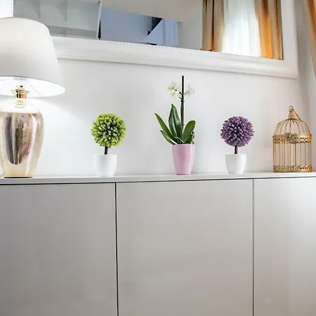 Dominik Apartman